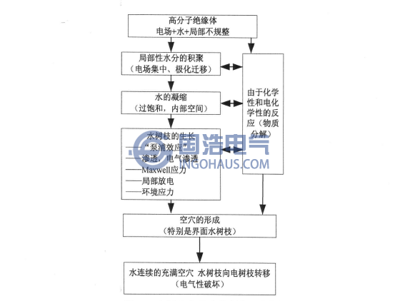水樹(shù)枝產(chǎn)生和發(fā)展機(jī)理框圖